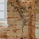 1820 アパート *